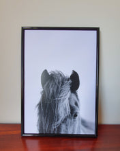 Load image into Gallery viewer, Horse Heads Set of 3 wall art prints
