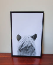 Load image into Gallery viewer, Horse Heads Set of 3 wall art prints