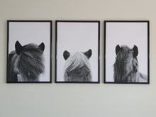 Load image into Gallery viewer, Horse Heads Set of 3 wall art prints