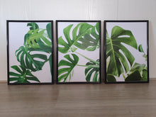 Load image into Gallery viewer, Tropical Monstera Leaves Set of 3 wall art prints