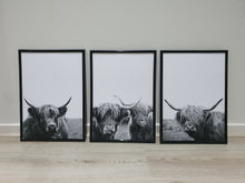 Load image into Gallery viewer, Highland Cow Set of 3 wall art prints