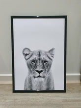 Load image into Gallery viewer, Lion Family-Set of 3 Wall art prints