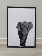 Load image into Gallery viewer, Elephants-Set of 4 Wall art prints