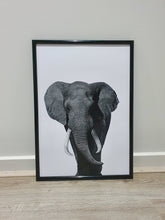 Load image into Gallery viewer, Elephants-Set of 4 Wall art prints