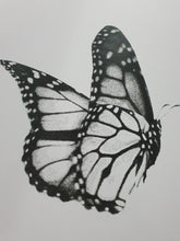 Load image into Gallery viewer, Butterfly Set of 2 wall art prints