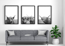 Load image into Gallery viewer, Highland Cow Set of 3 wall art prints