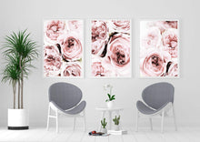 Load image into Gallery viewer, Pink Peonies Set of 3 wall art prints