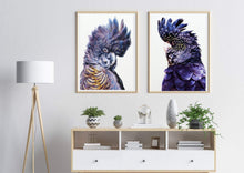 Load image into Gallery viewer, Black Cockatoo Set of 2 wall art prints