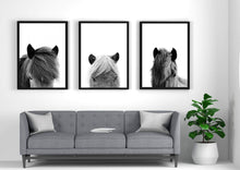 Load image into Gallery viewer, Horse Heads Set of 3 wall art prints