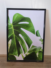 Load image into Gallery viewer, Tropical Monstera Leaves Set of 3 wall art prints
