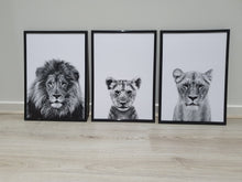 Load image into Gallery viewer, Lion Family-Set of 3 Wall art prints
