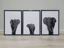 Load image into Gallery viewer, Elephants-Set of 3 Wall art prints
