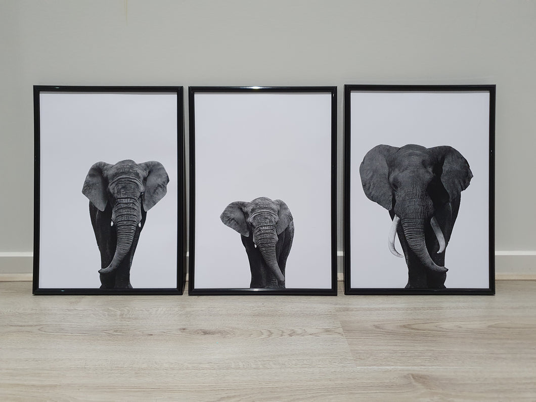 Elephants-Set of 3 Wall art prints