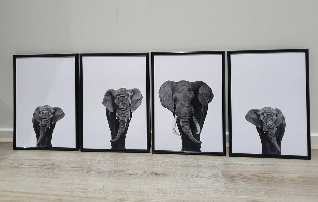 Elephants-Set of 4 Wall art prints