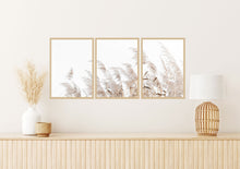 Load image into Gallery viewer, Pampas Grass Boho style set of 3 wall art prints
