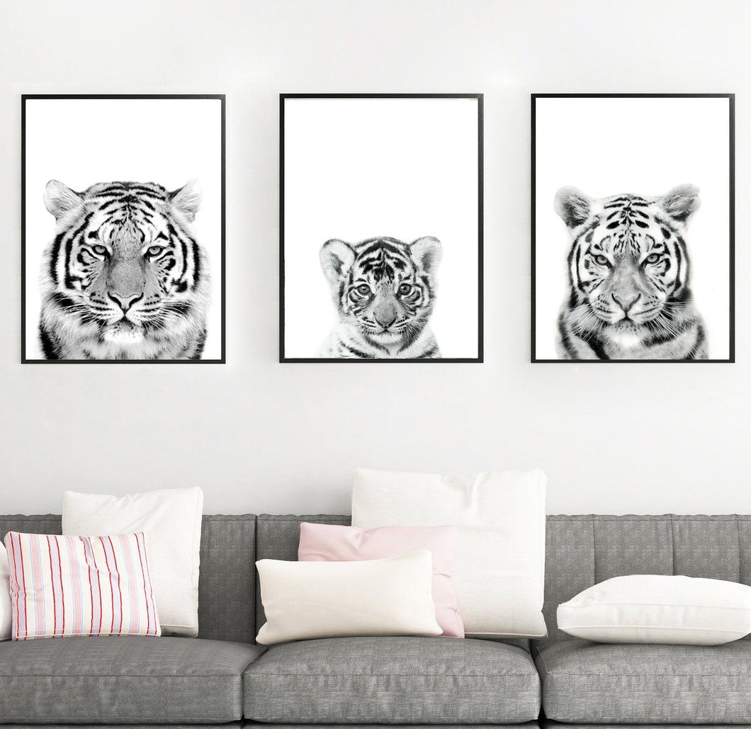 Tigers-Set of 3 Wall art prints