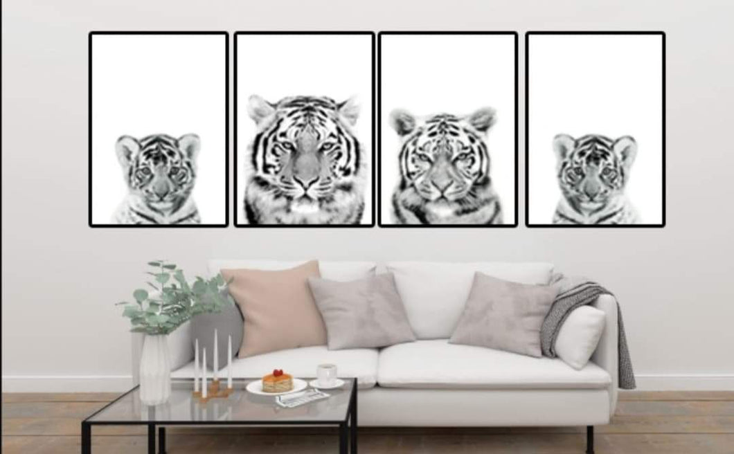 Tigers-Set of 4 Wall art prints