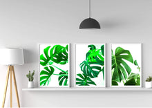 Load image into Gallery viewer, Tropical Monstera Leaves Set of 3 wall art prints
