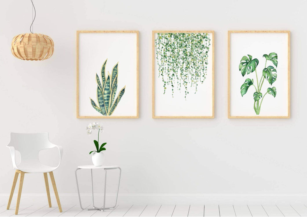 Green Plants-Watercolour- Set of 3 wall art prints