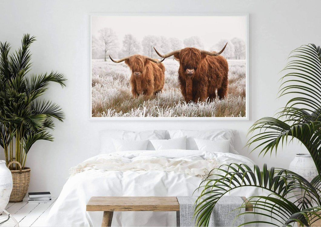 Highland Cattle Landscape Poster