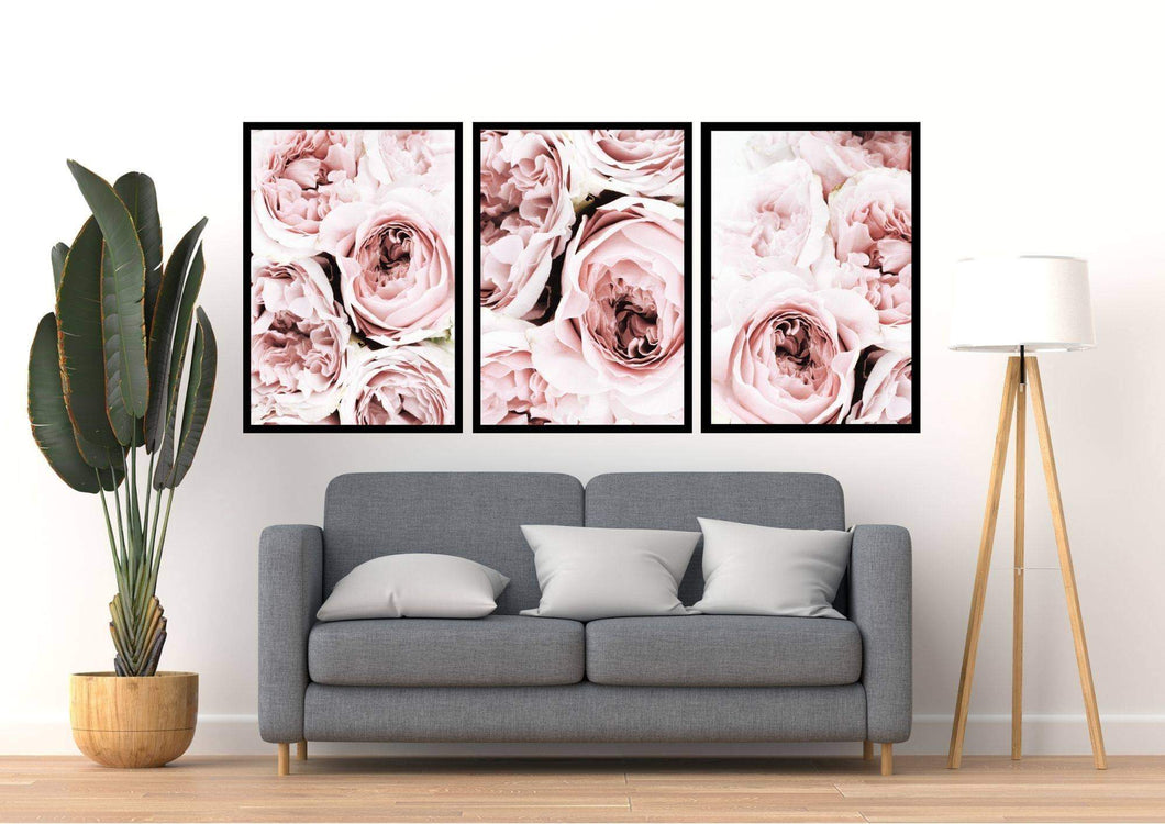 Pink Peonies Set of 3 wall art prints