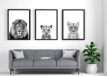 Load image into Gallery viewer, Lion Family-Set of 3 Wall art prints
