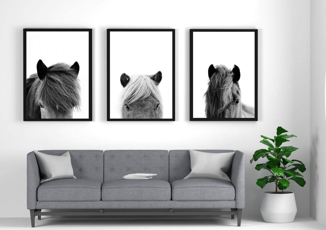 Horse Heads Set of 3 wall art prints